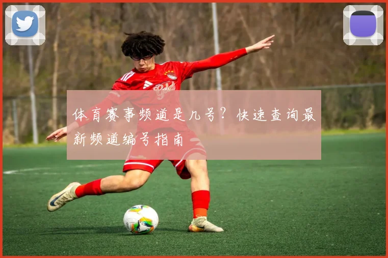 体育赛事频道是几号?快速查询最新频道编号指南