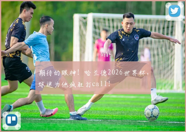 期待的眼神！哈兰德2026世界杯，球迷为他疯狂打call！